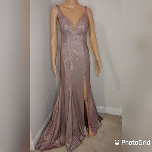 Iridescent Pink Gown